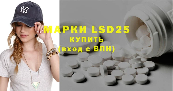 PSILOCYBIN Ладушкин
