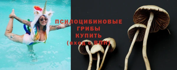 МДПВ Лагань