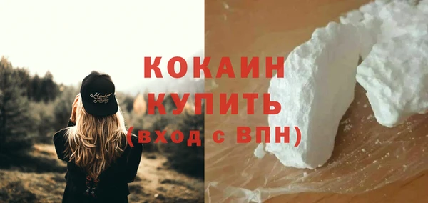 PSILOCYBIN Ладушкин