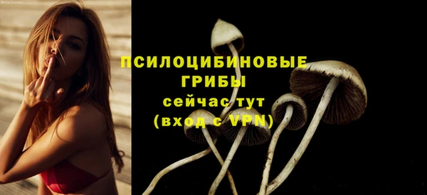 PSILOCYBIN Ладушкин