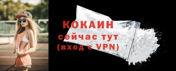 PSILOCYBIN Ладушкин