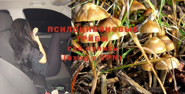 МДПВ Лагань