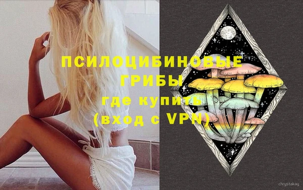 PSILOCYBIN Ладушкин